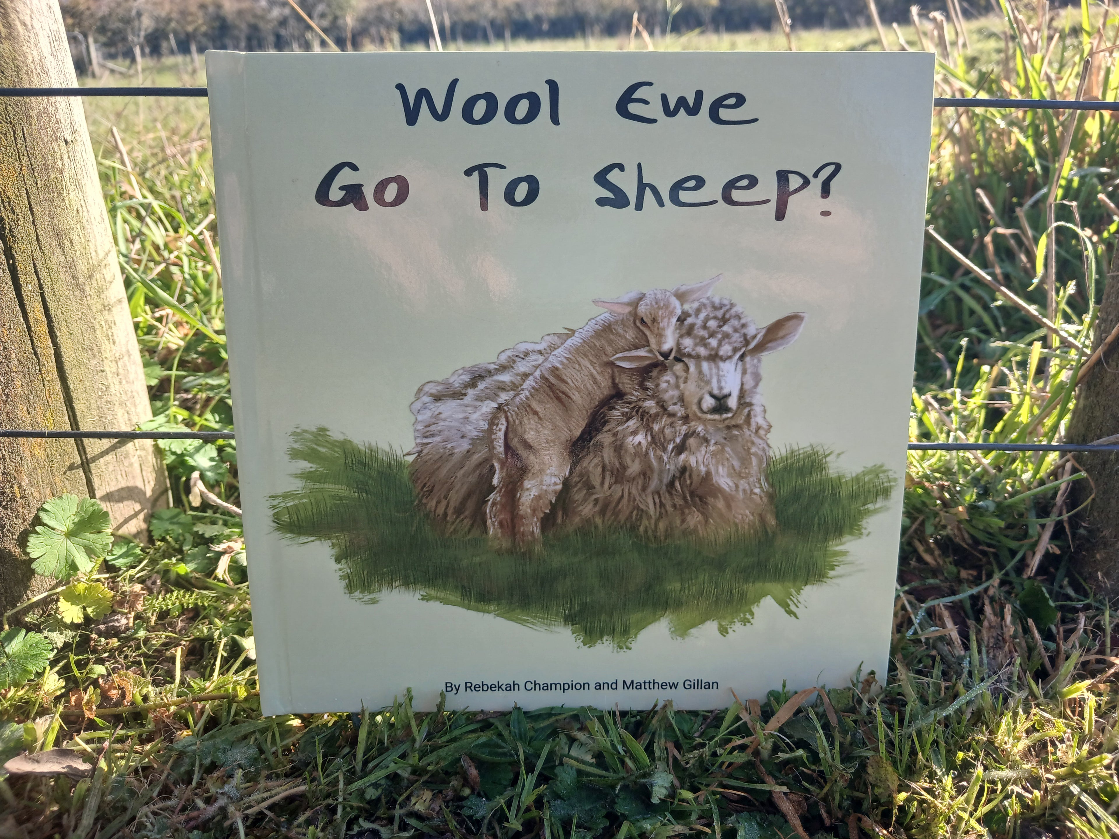 Wool Ewe Go To Sheep?