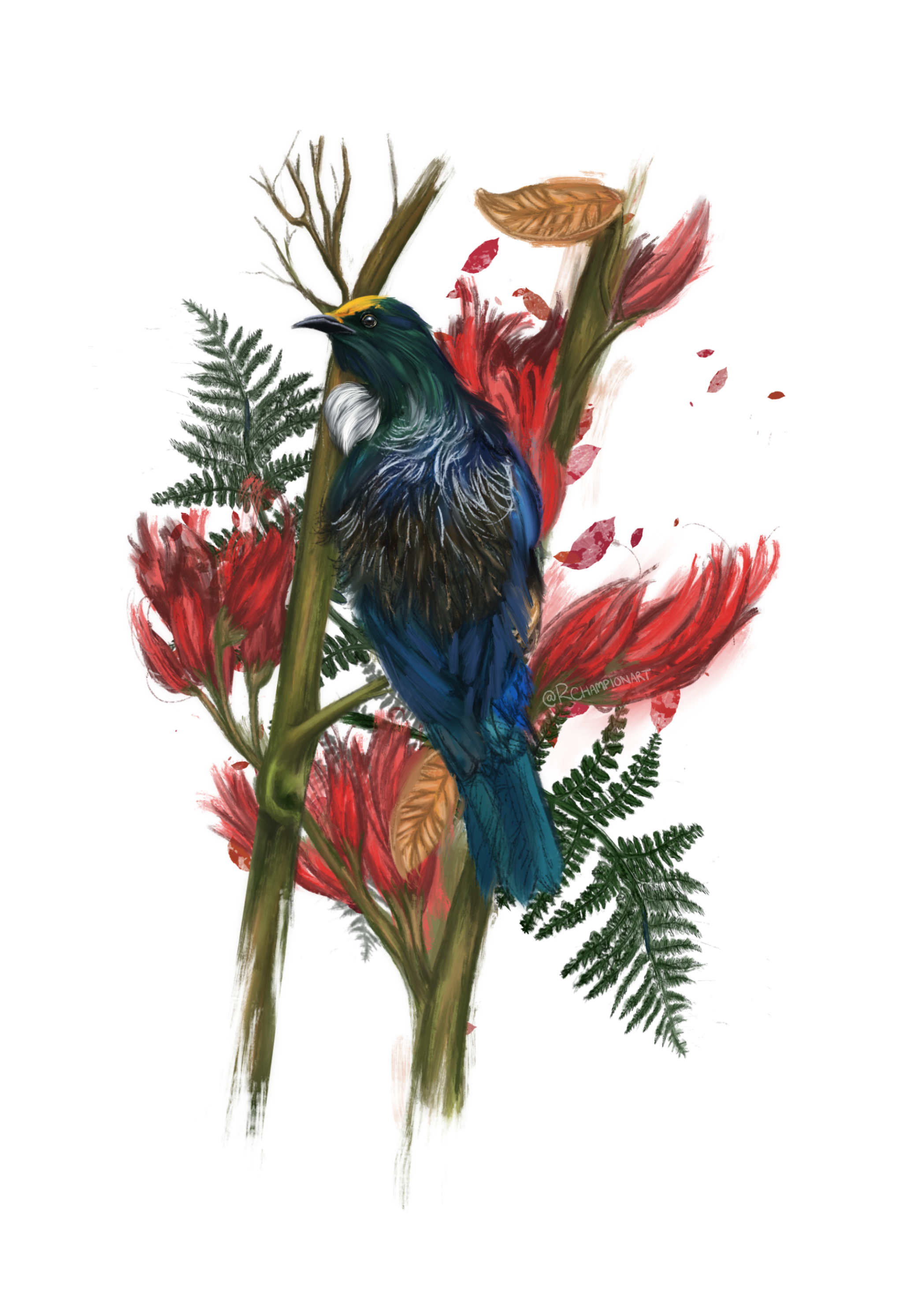 Tūī Art Print