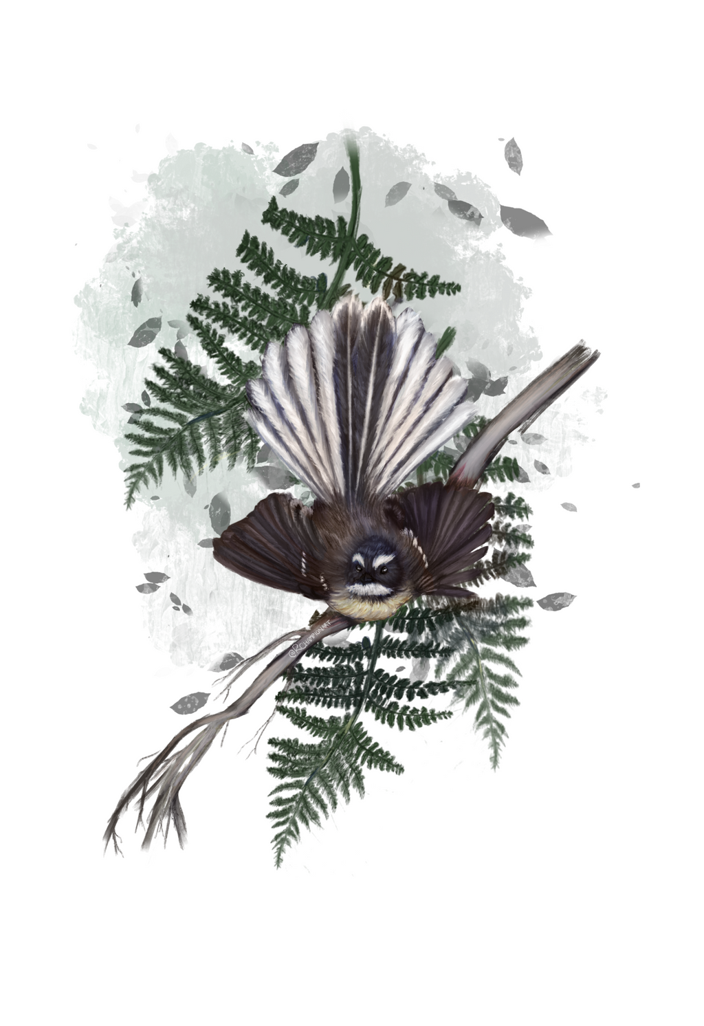 Pīwakawaka (Fantail) Art Print