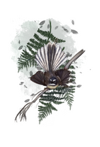 Pīwakawaka (Fantail) Art Print