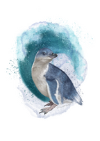 Kororā (Little Blue Penguin) Art Print